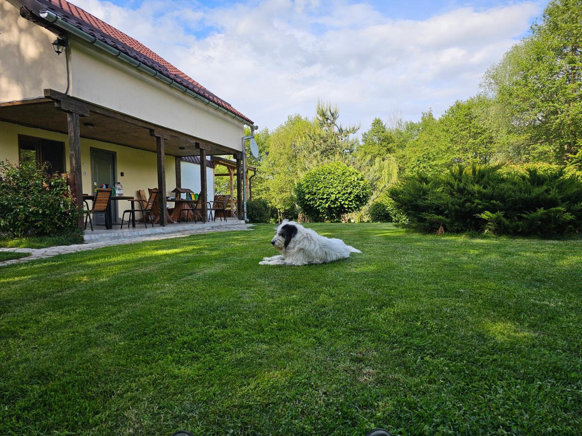Casa De Vacanta Marin Arpaşu de Sus Extérieur photo