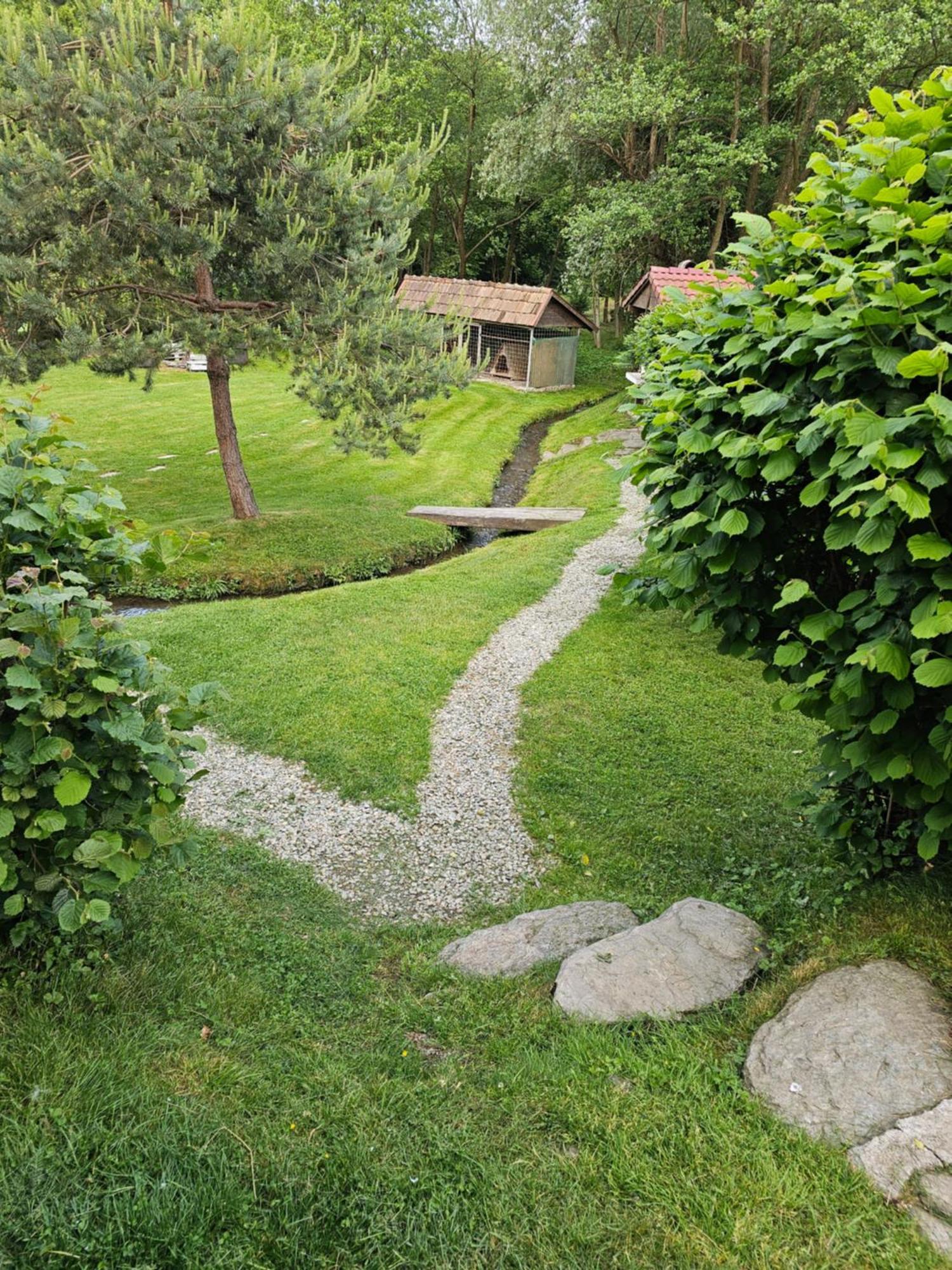 Casa De Vacanta Marin Arpaşu de Sus Extérieur photo