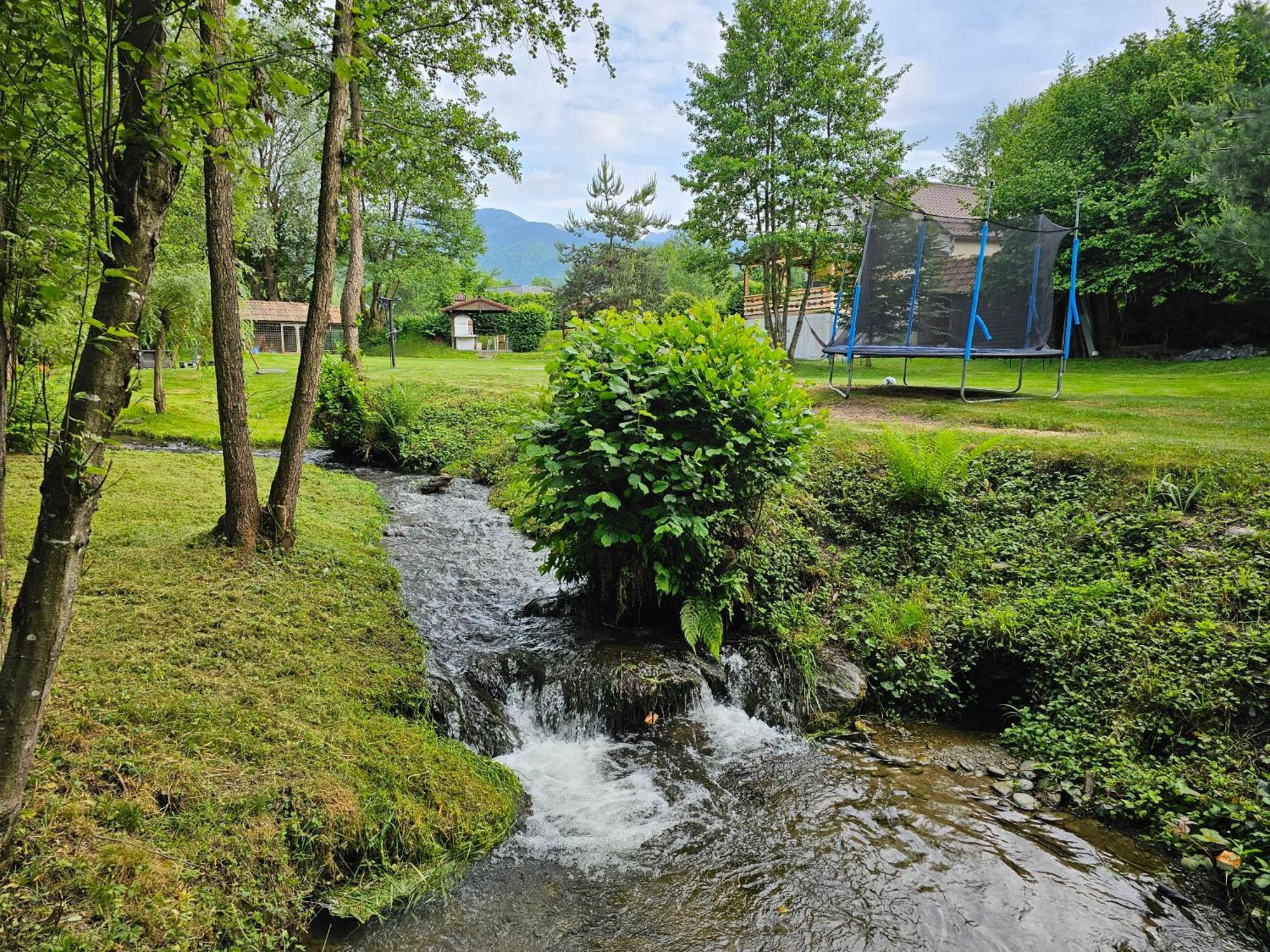 Casa De Vacanta Marin Arpaşu de Sus Extérieur photo