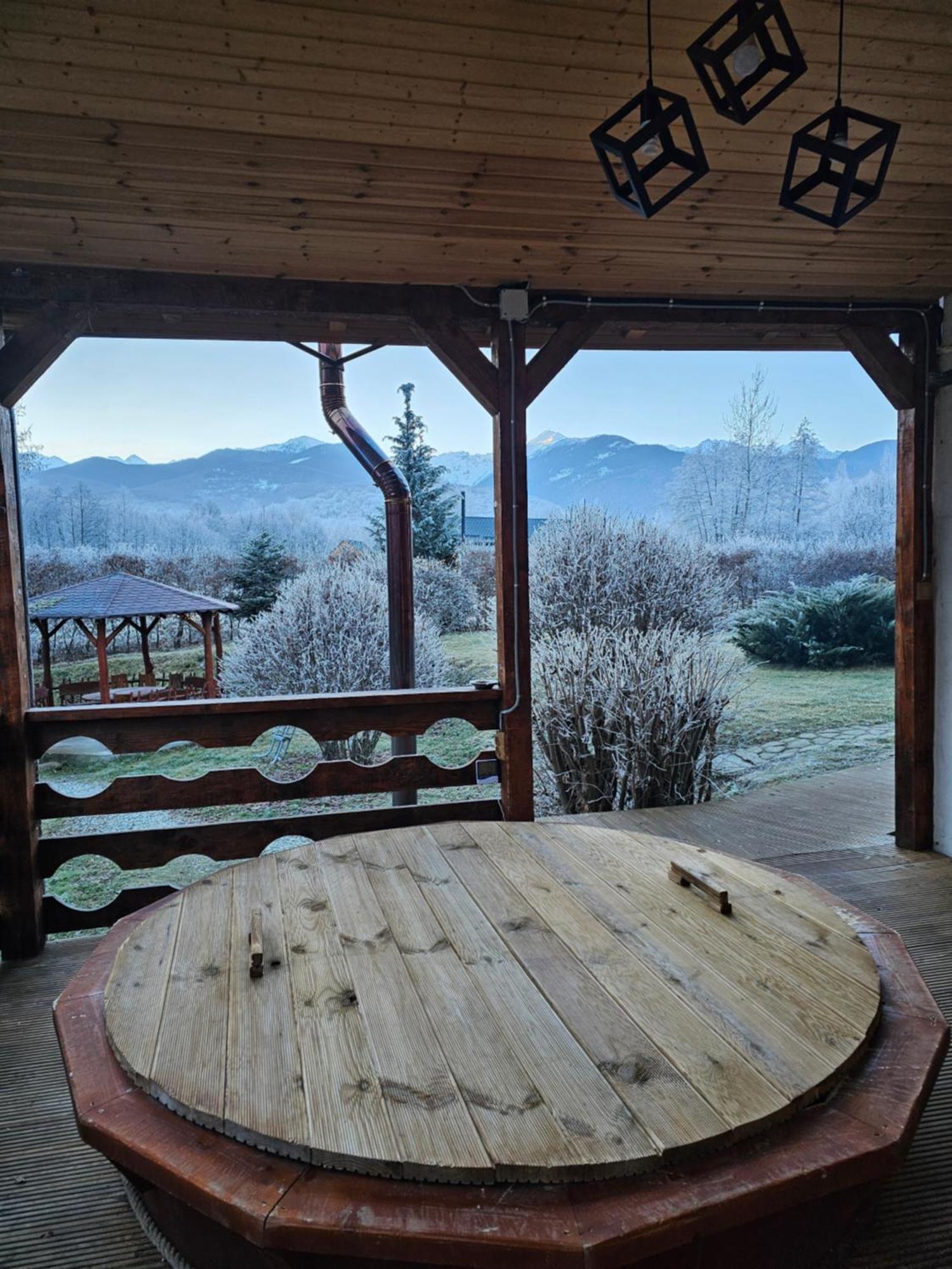 Casa De Vacanta Marin Arpaşu de Sus Extérieur photo