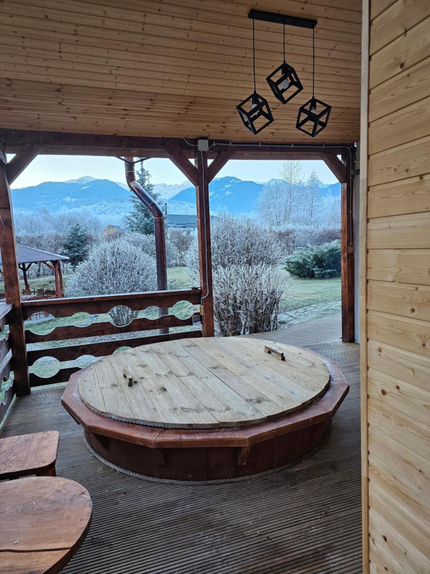 Casa De Vacanta Marin Arpaşu de Sus Extérieur photo