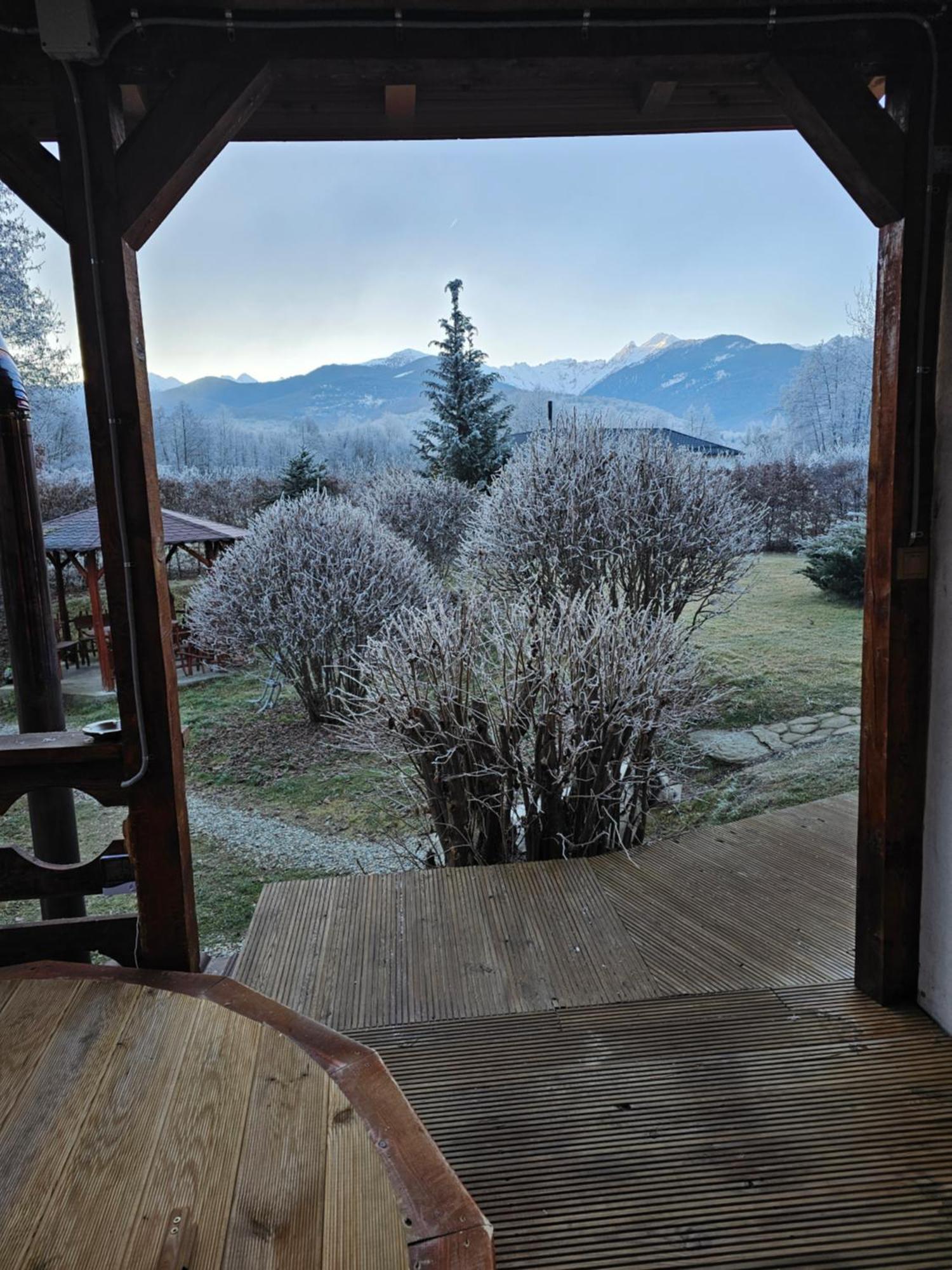 Casa De Vacanta Marin Arpaşu de Sus Extérieur photo