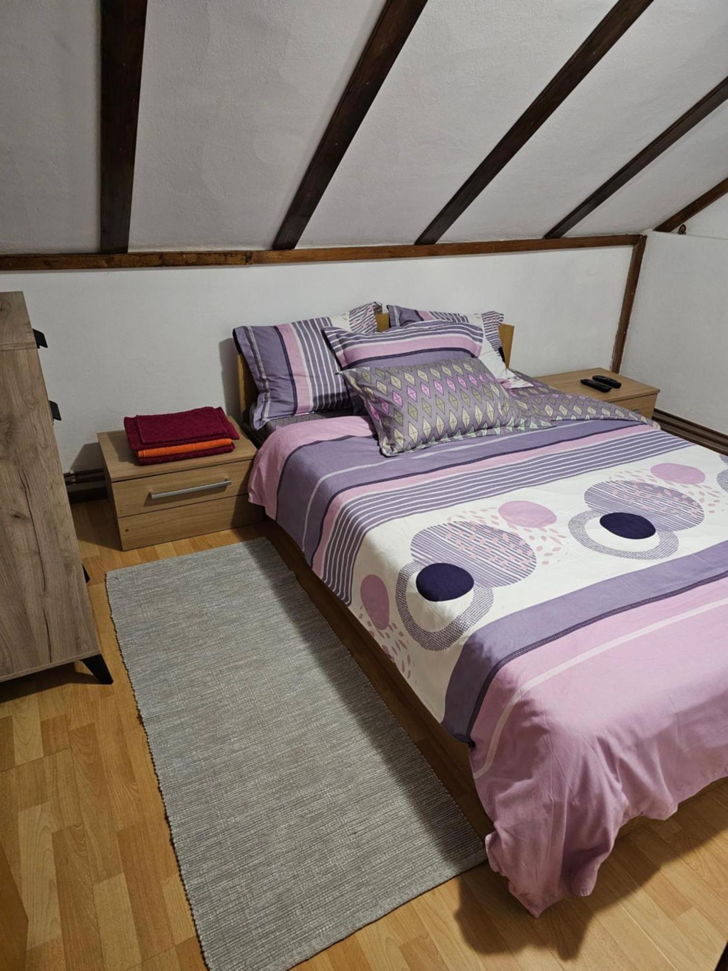 Casa De Vacanta Marin Arpaşu de Sus Extérieur photo